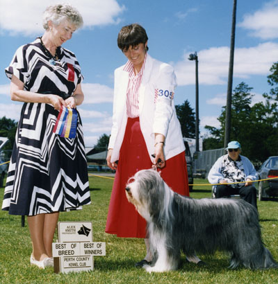 Megan is standing in a show pose for a photo after completing the requirement for her Canadian Championship. Her mommy and the judge are in the photo with her.